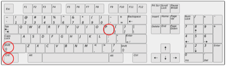 Photo of a Windows keyboard with the keys Ctrl, Shift, and P all circled in red.